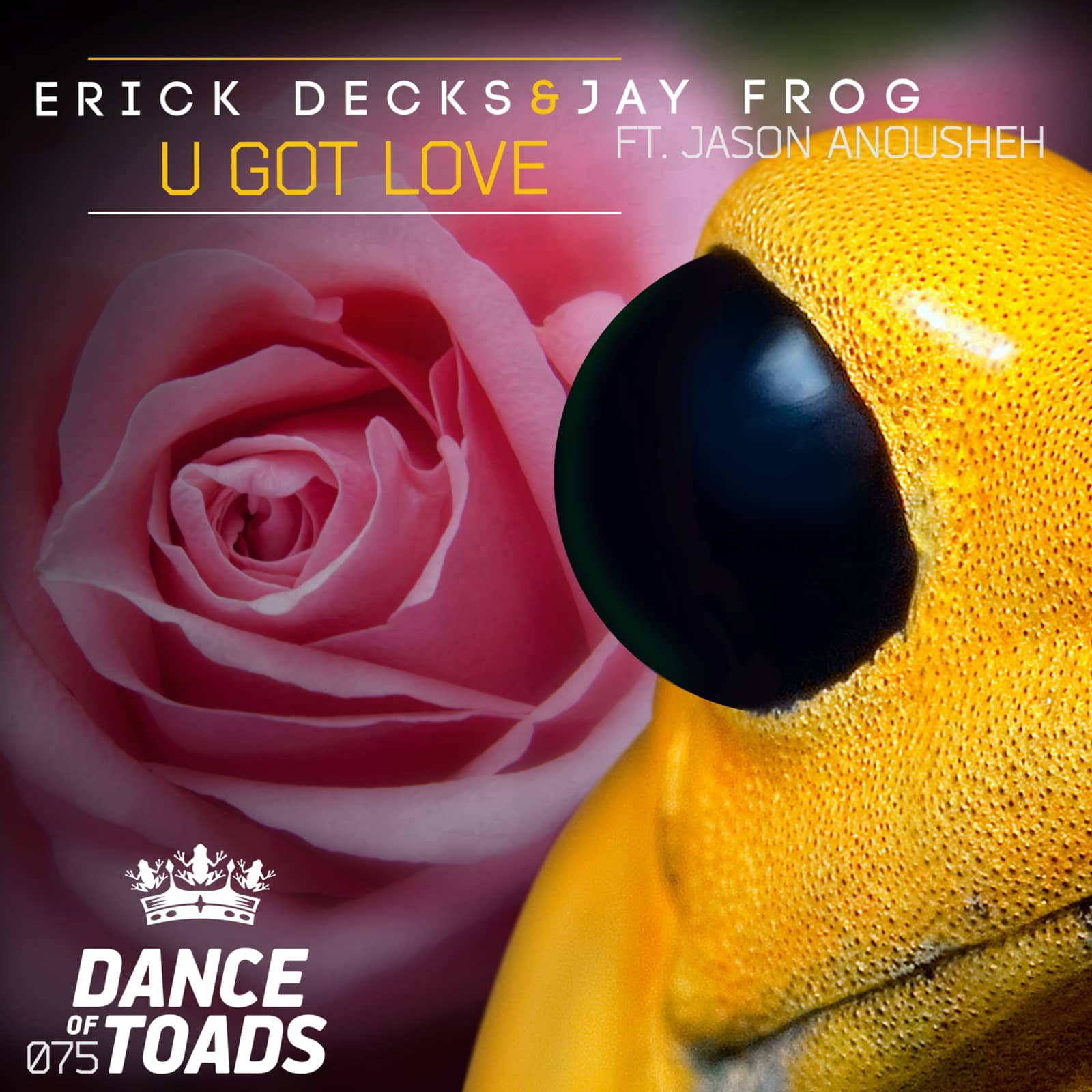 Erick Decks & Jay Frog feat. Jason Anousheh — U Got Love (Radio Edit)