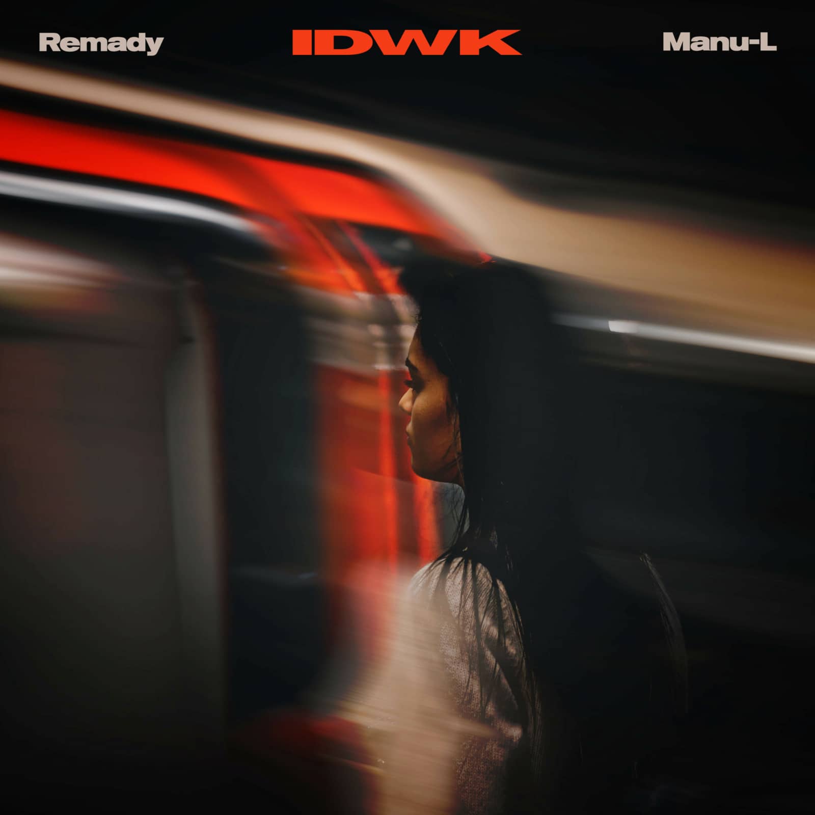 Remady & Manu-L — IDWK