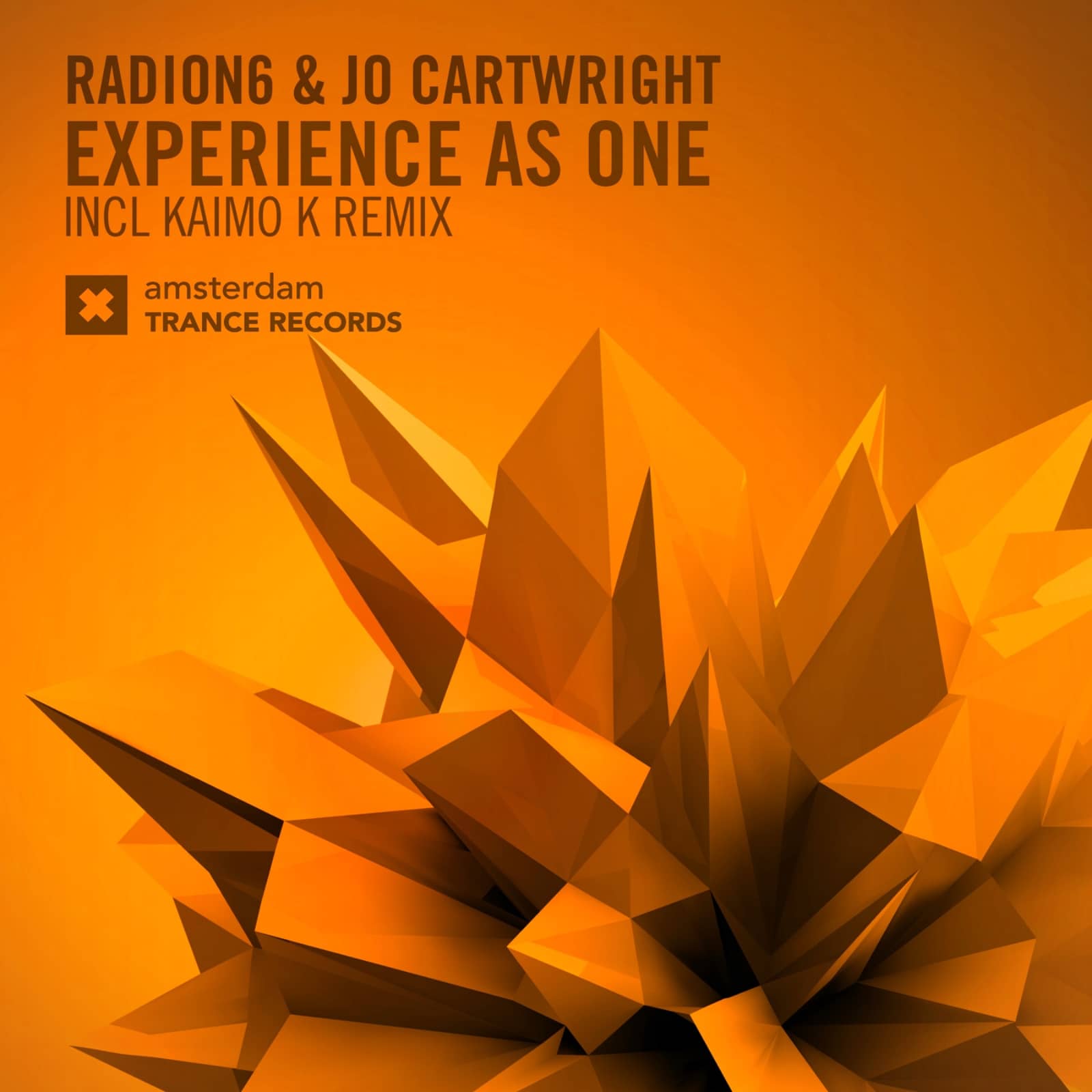 Radion6 & Jo Cartwright — Experience As One