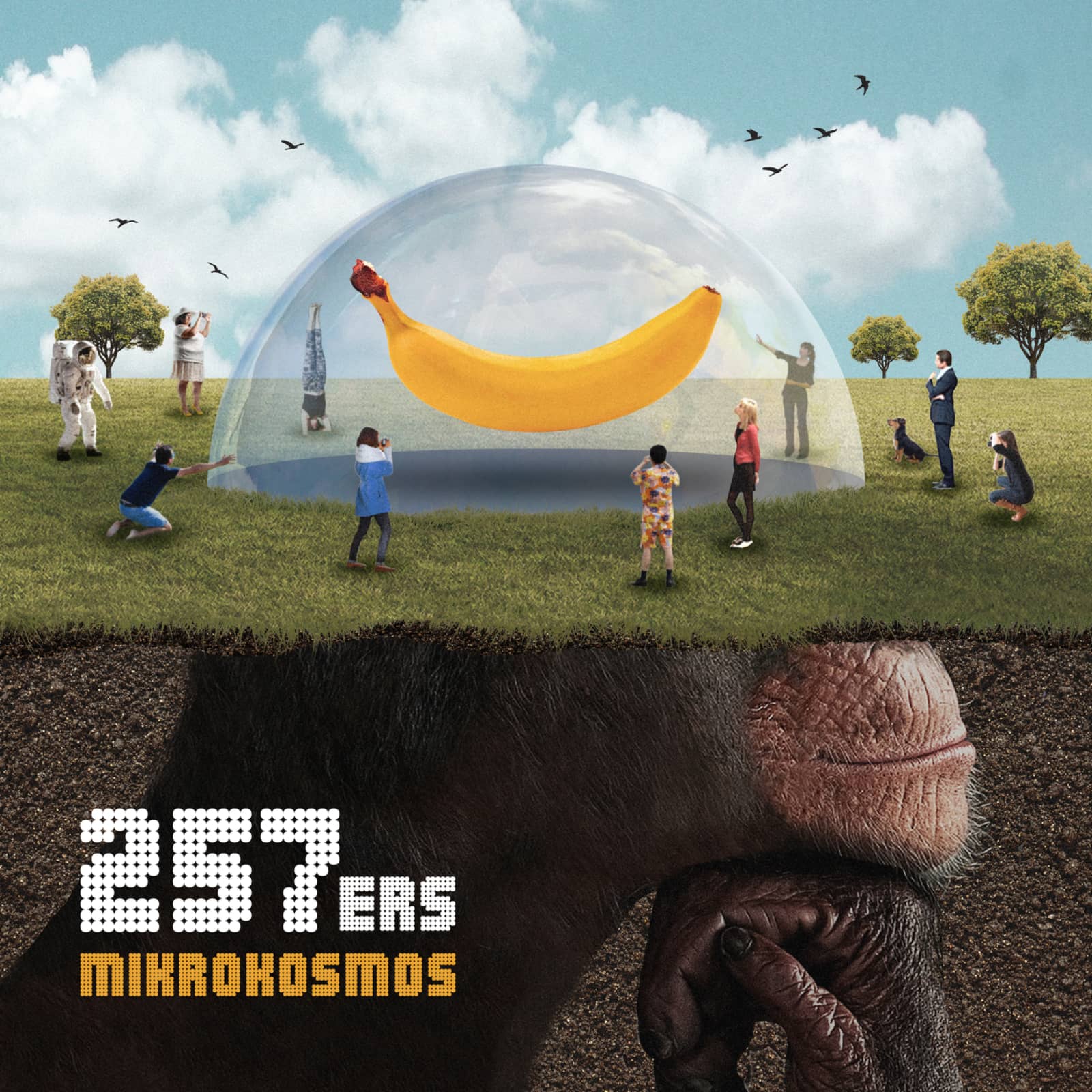 257Ers — Holz