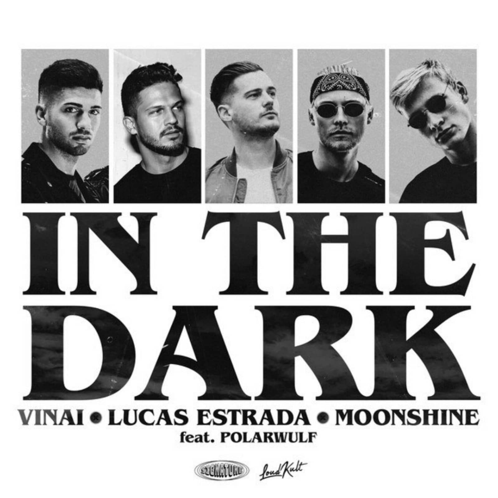 VINAI, Lucas Estrada & Moonshine — In The Dark (feat. Polarwulf)