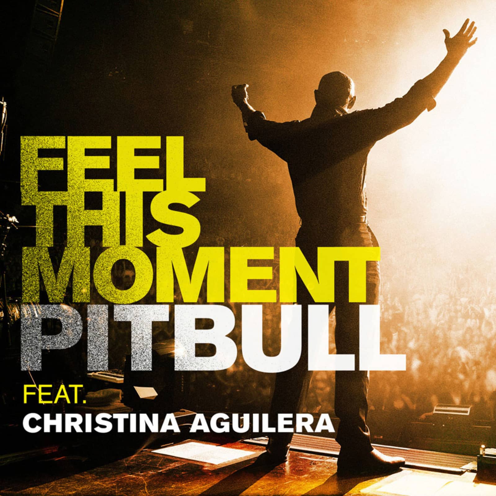Pitbull Feat. Christina Aguilera — Feel This Moment