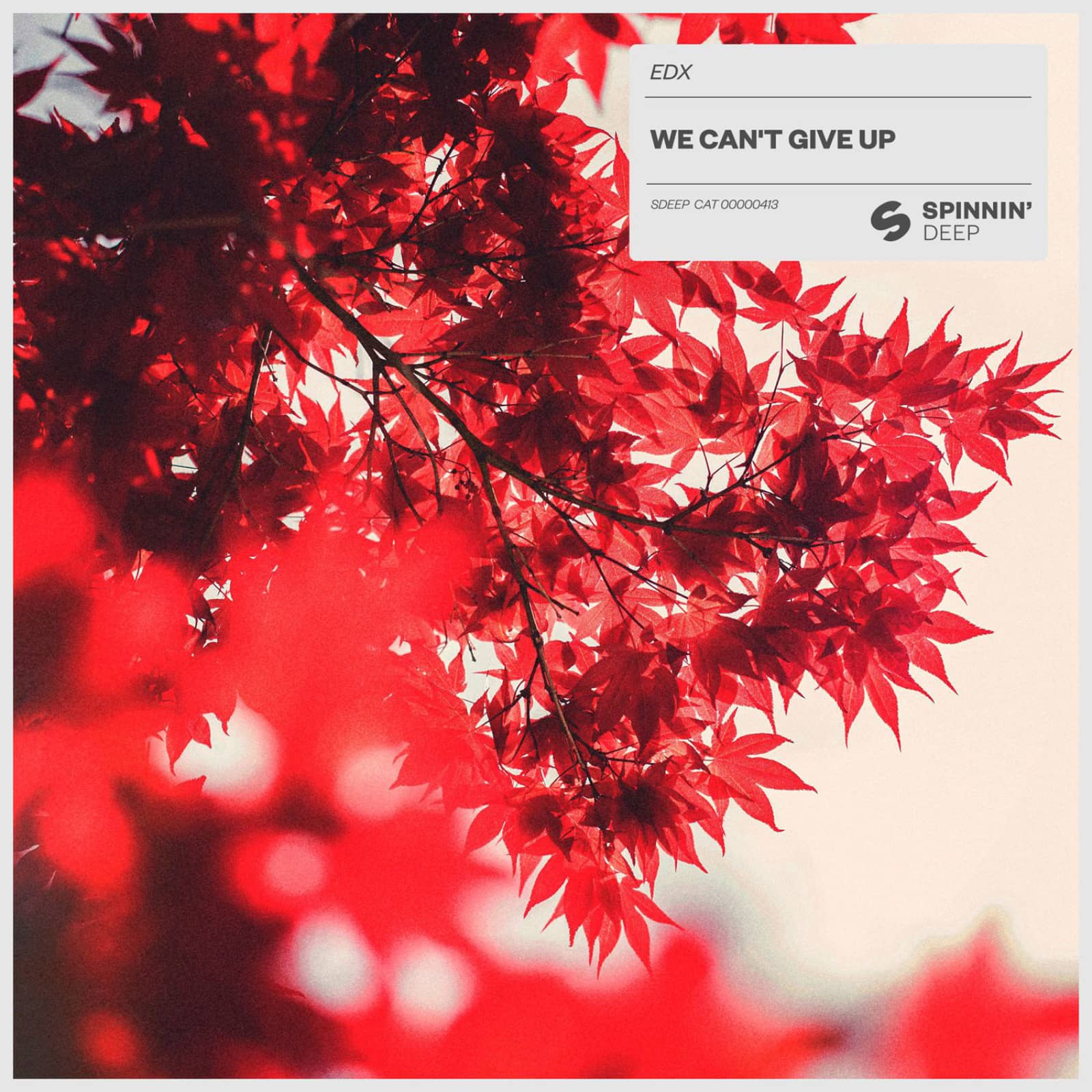EDX — We Can't Give Up
