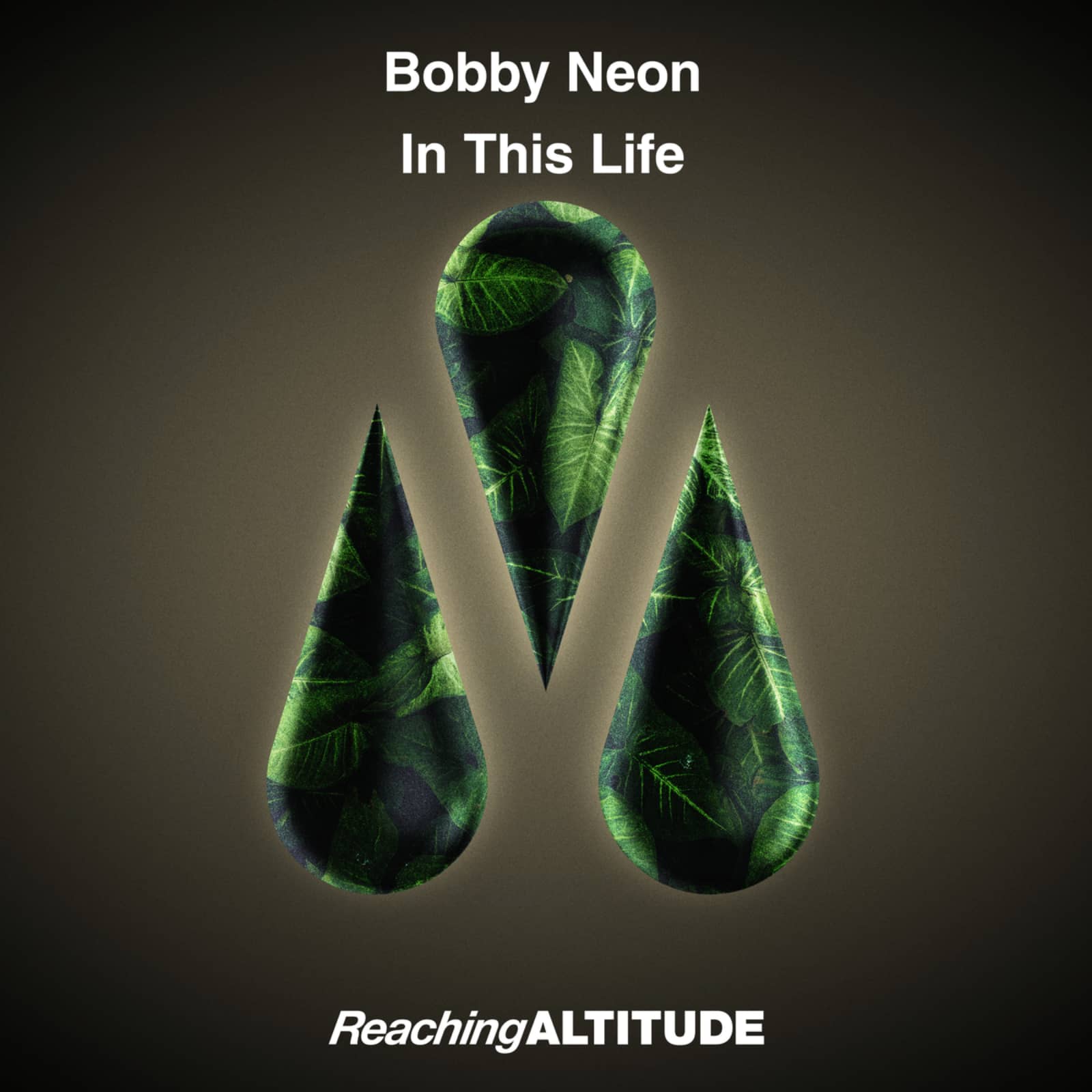Bobby Neon — In This Life
