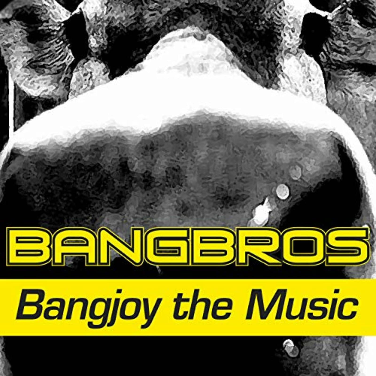 Bangbros — Bangjoy The Music (Single Edit)