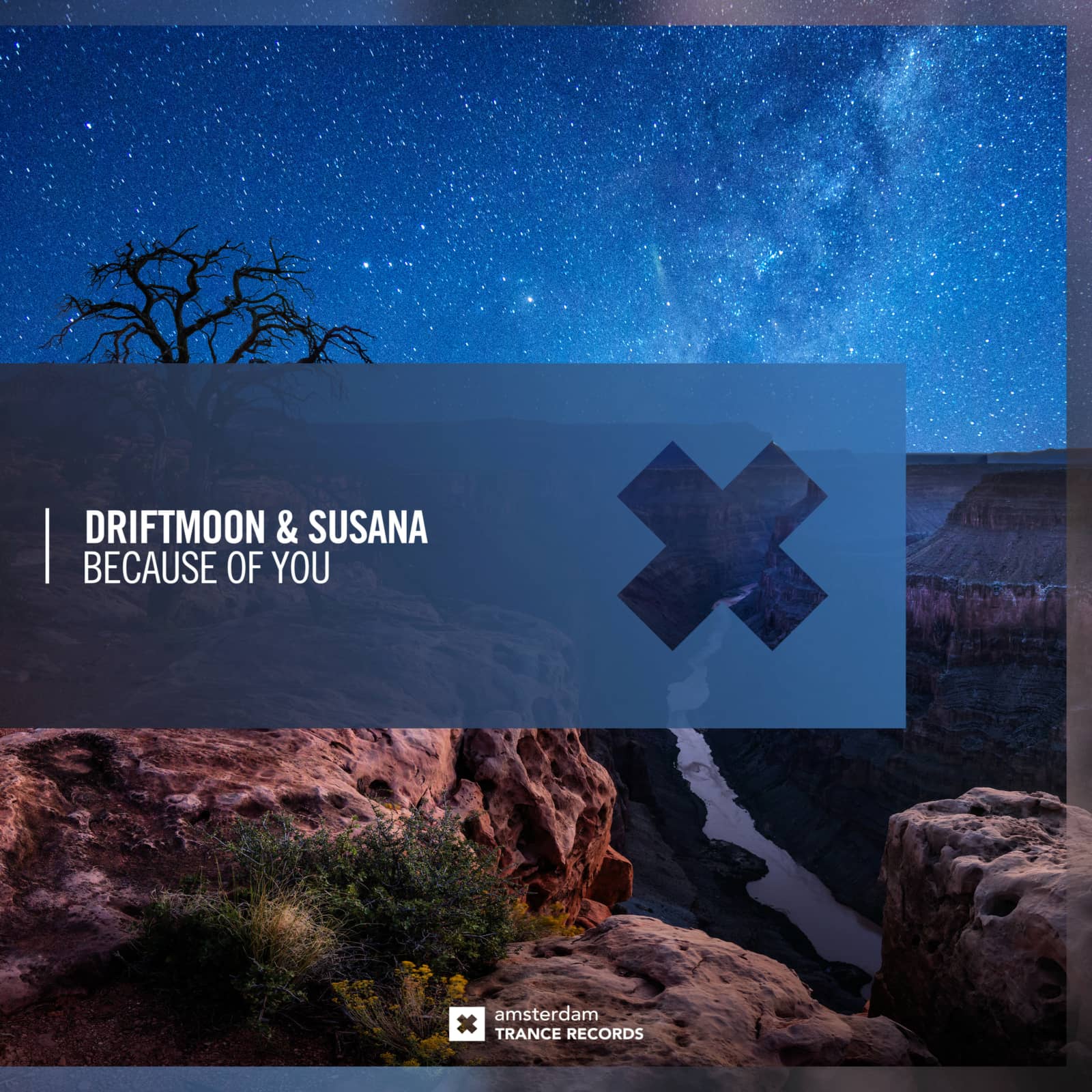 Driftmoon, Susana — Because of You