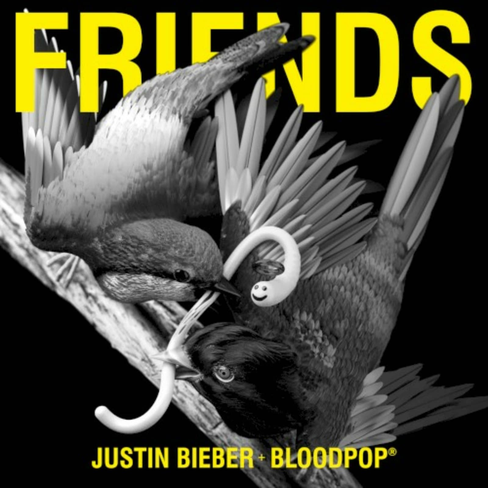 Justin Bieber + BloodPop® — Friends