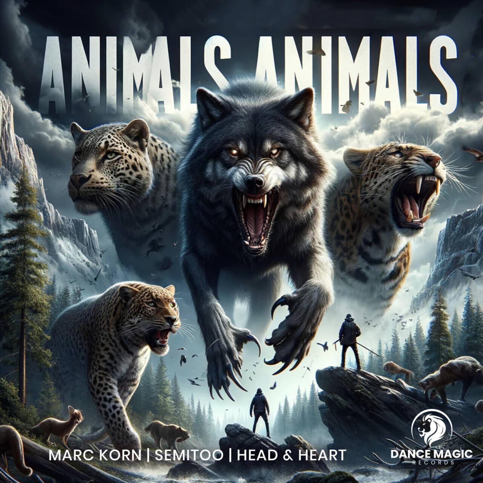 Marc Korn; Semitoo; Head & Heart — Animals Animals