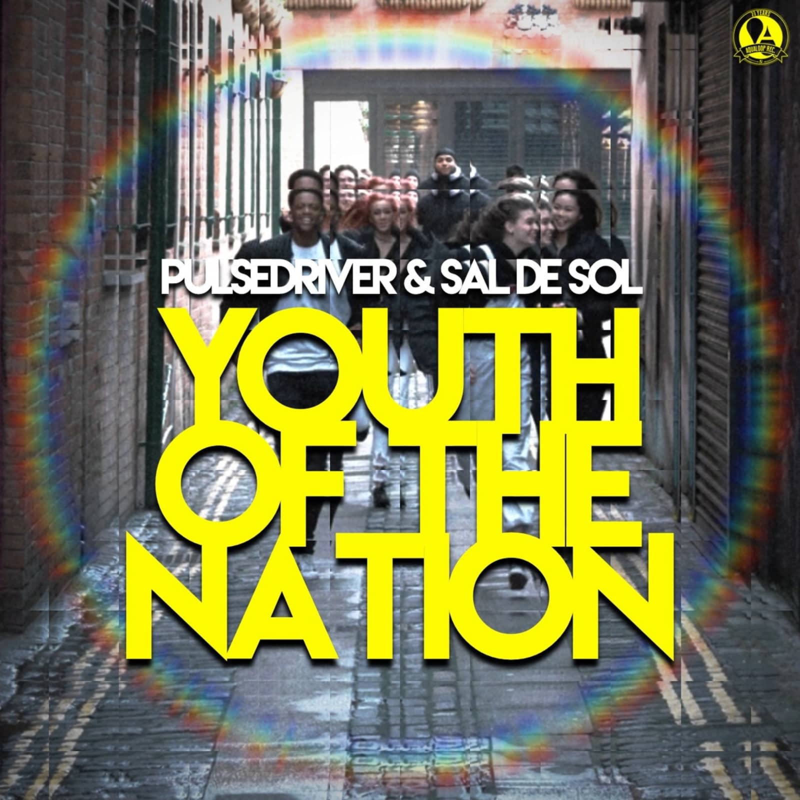 Pulsedriver feat. Sal De Sol — Youth Of The Nation
