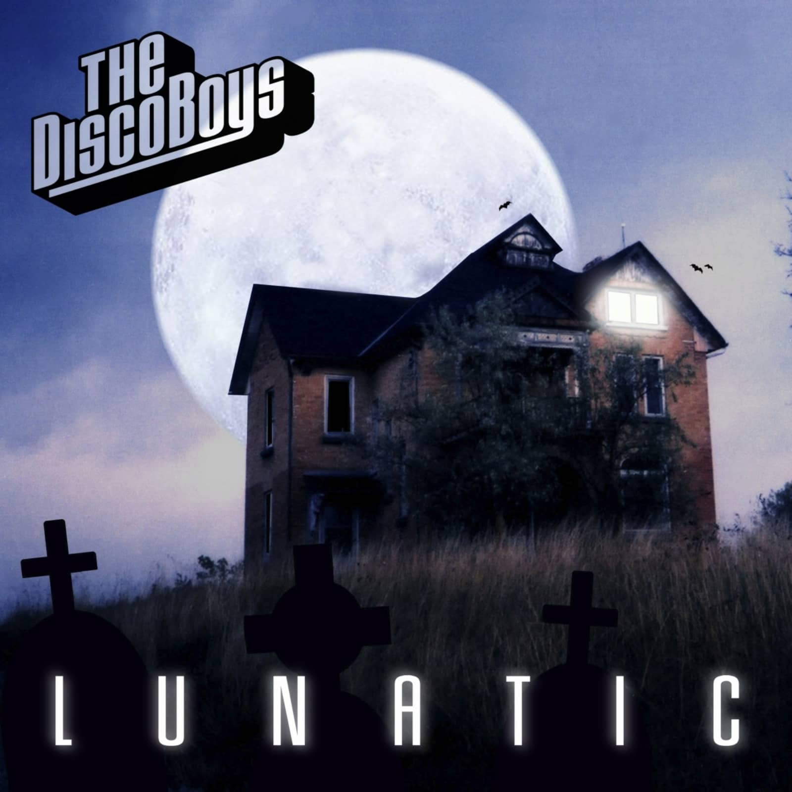 Disco Boys, The — Lunatic (Radio Edit)