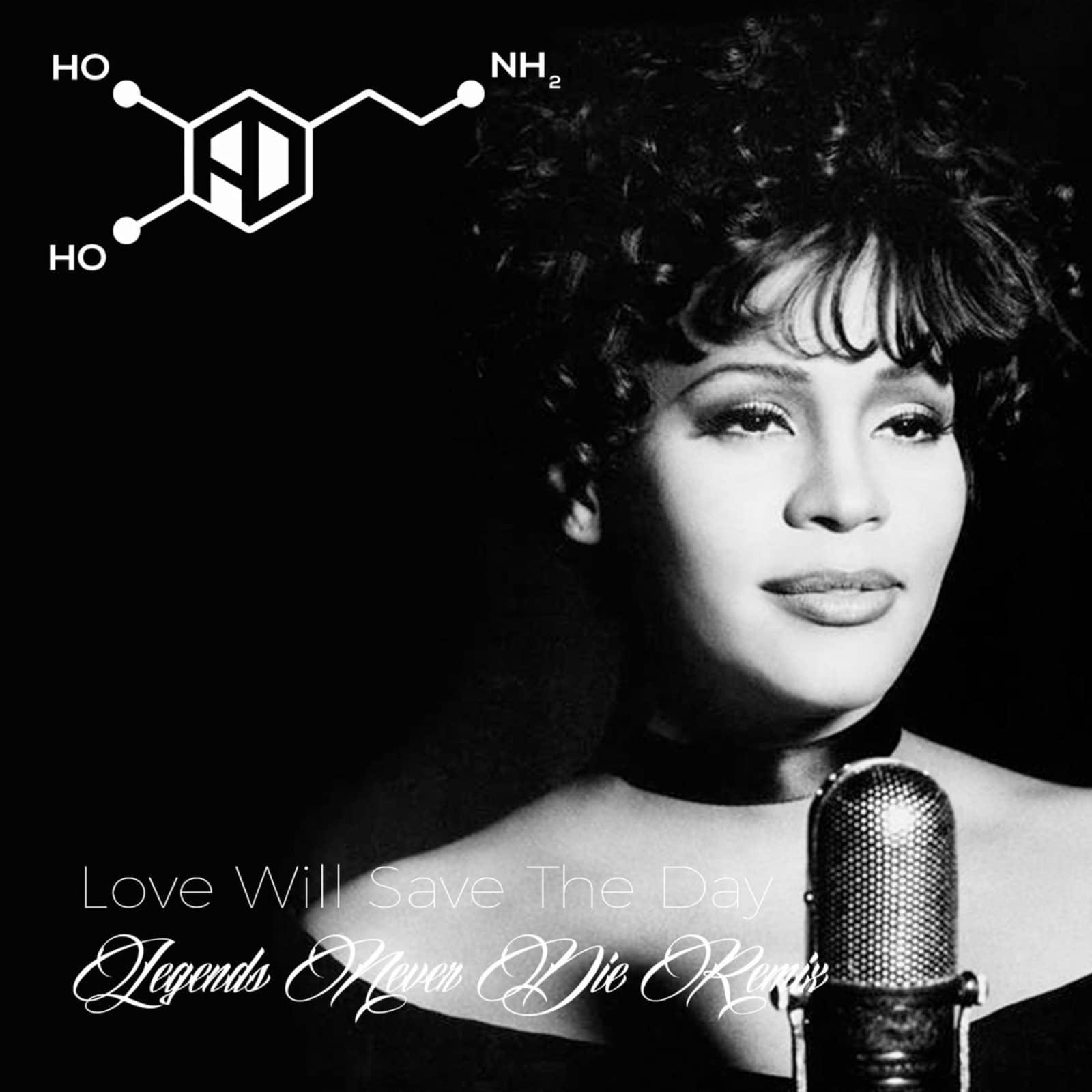 Whitney Houston — Love Will Save The Day