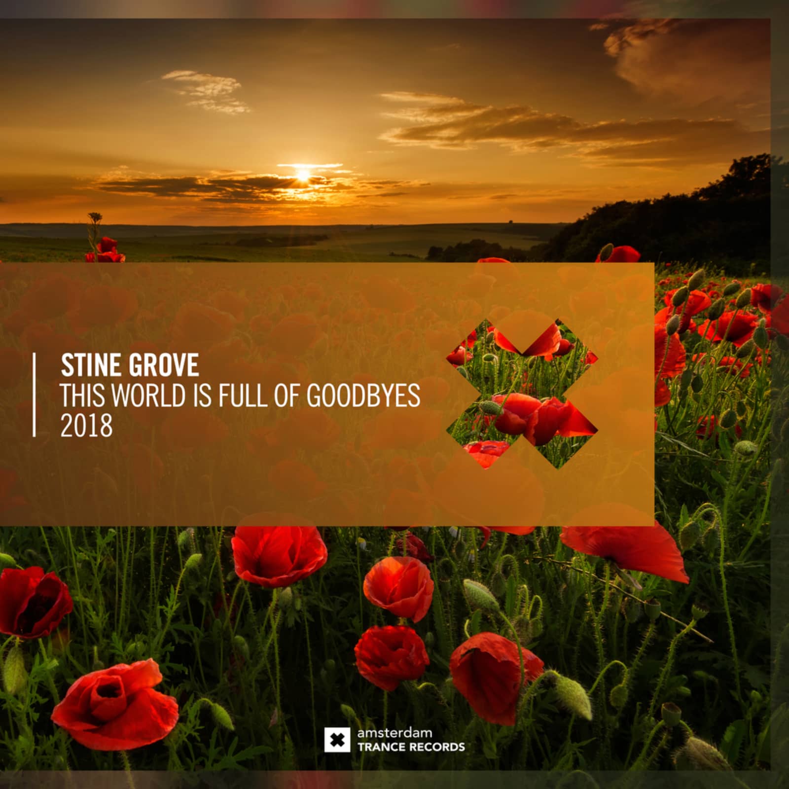 Goodbye 2018 don t forget. Stine Grove - Empire of Love (Extended Mix).