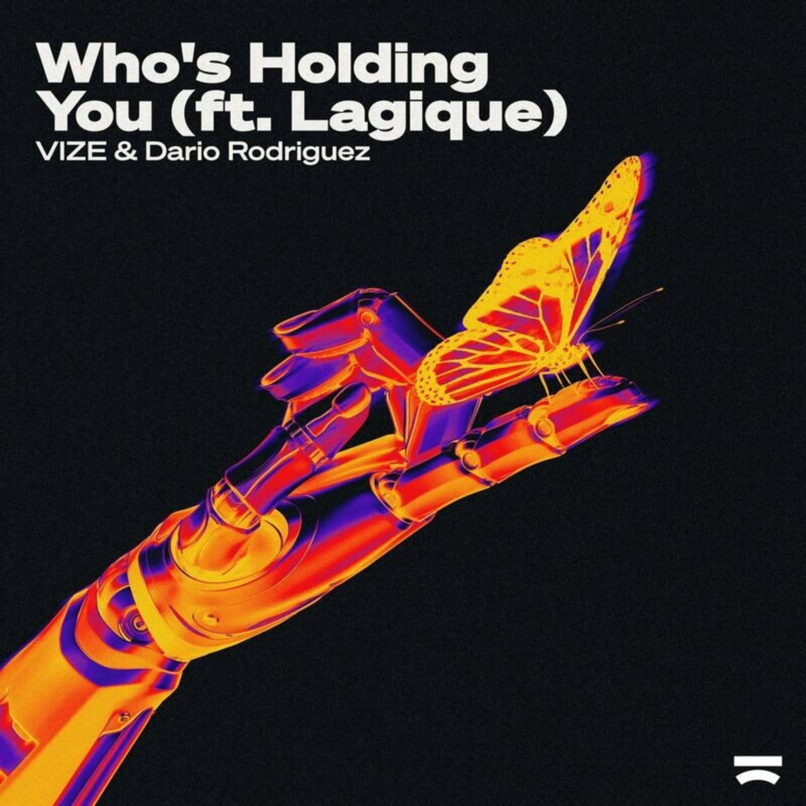 VIZE, Dario Rodriguez & Lagique — Who's Holding You