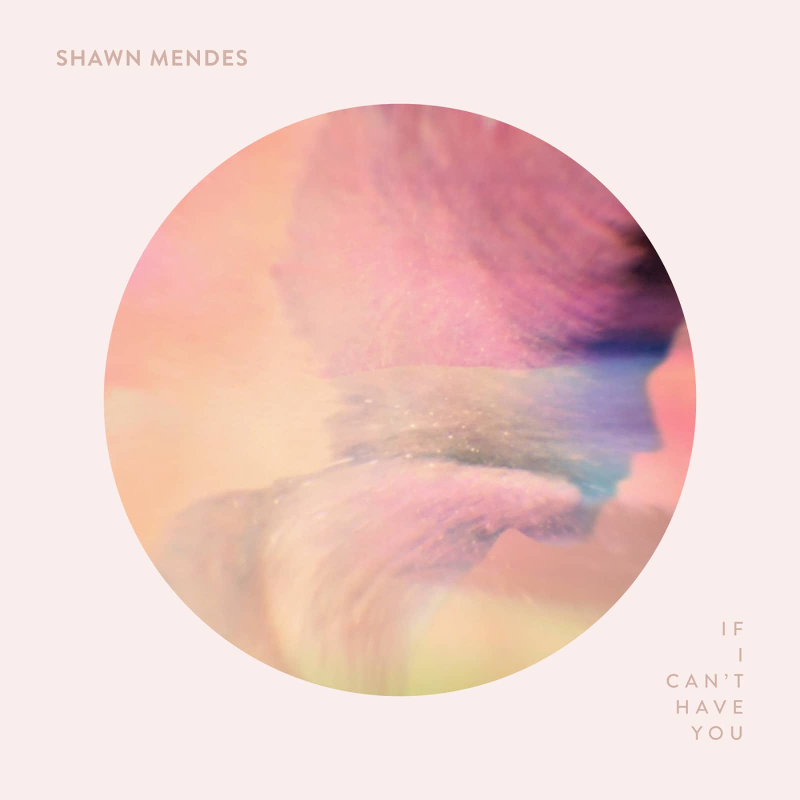 Shawn Mendes — If I Can't Have You