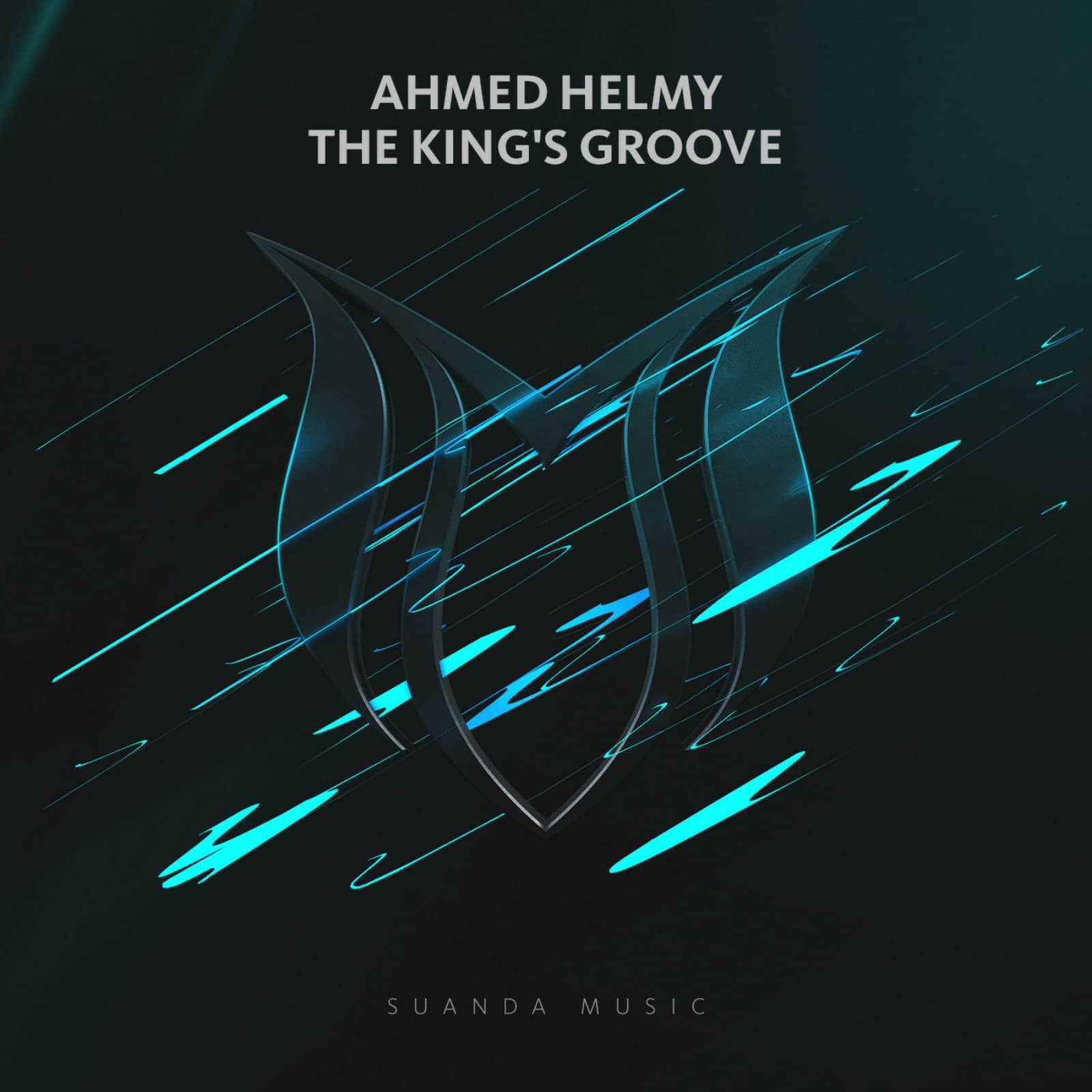 Ahmed Helmy — The King’s Groove