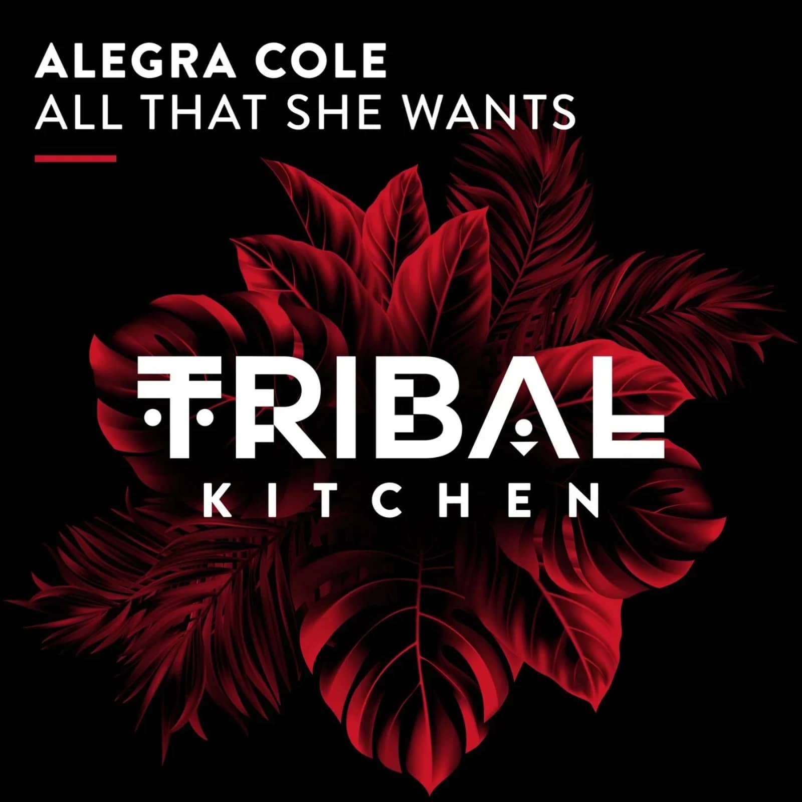 Alegra Cole — All That She Wants (Extended Mix)