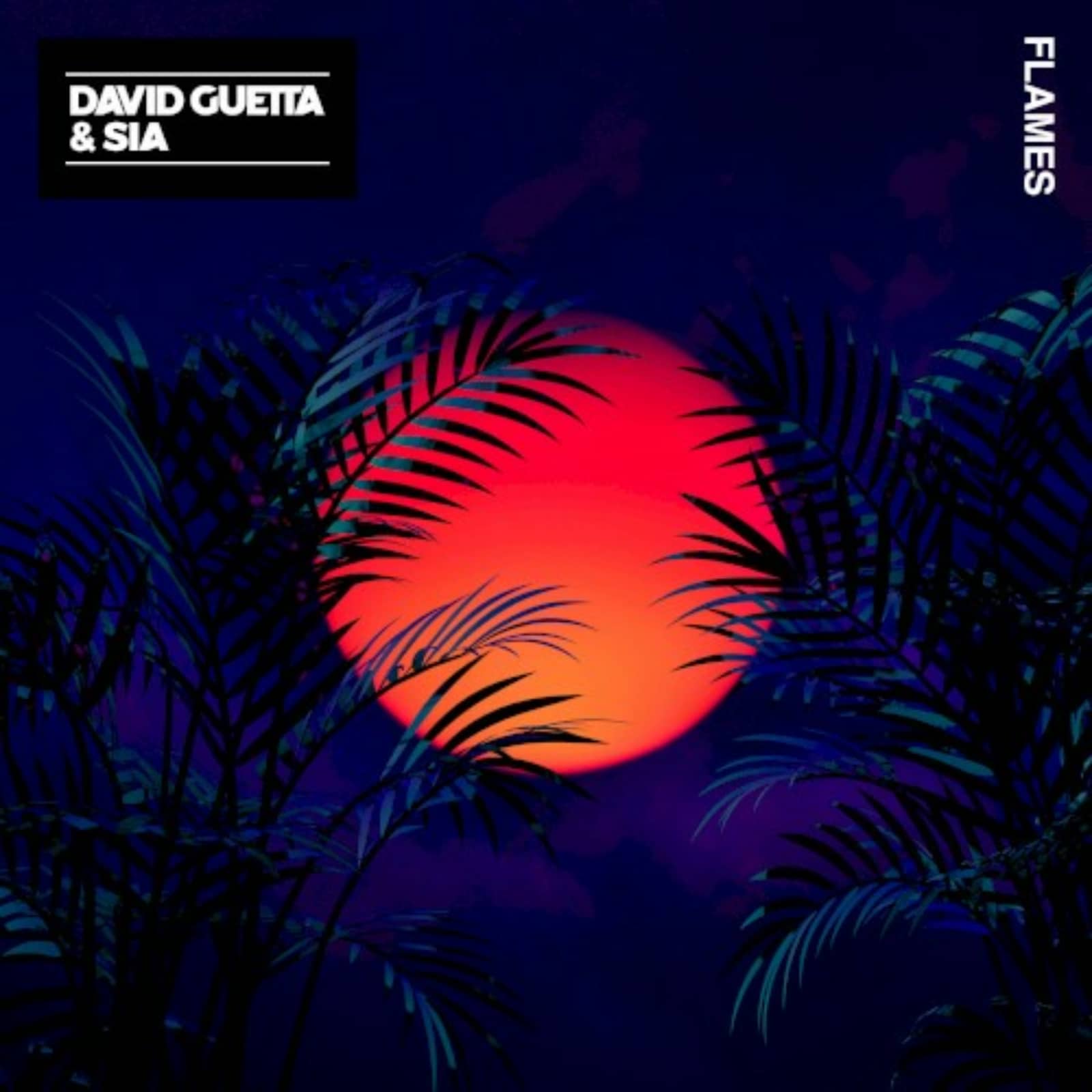 David Guetta & Sia — Flames