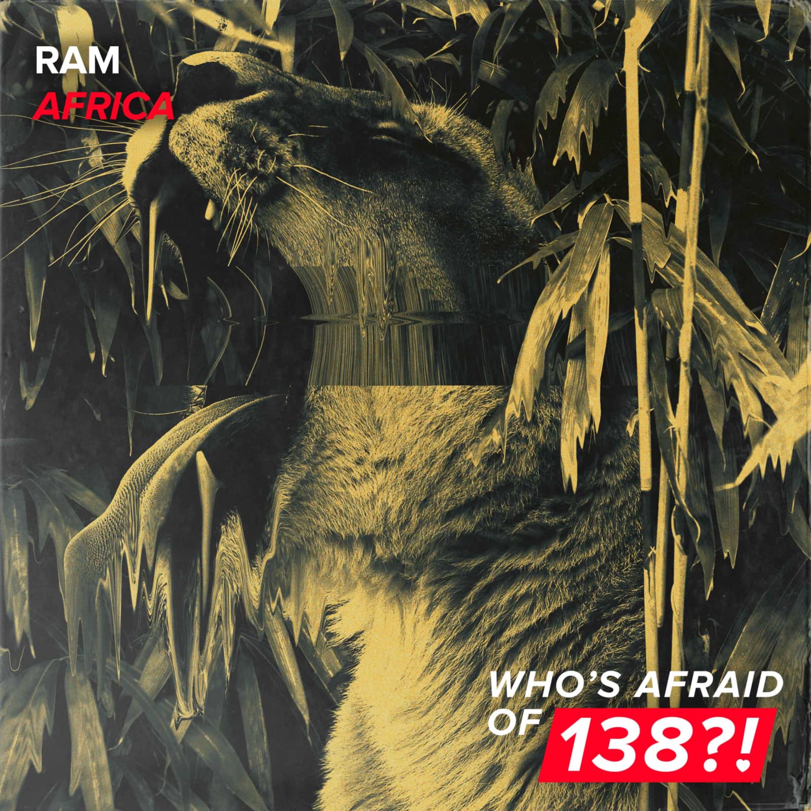 Ram — Africa