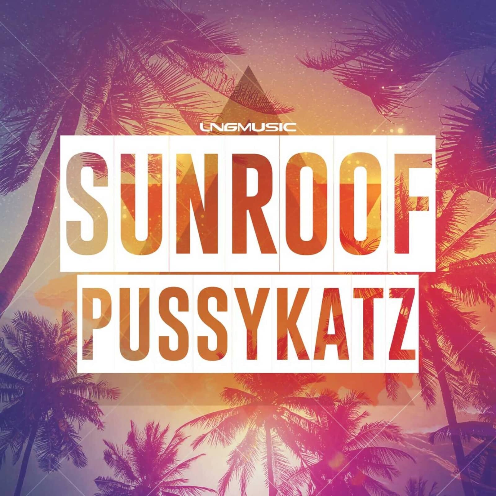 PussyKatz — Sunroof (Extended Mix)