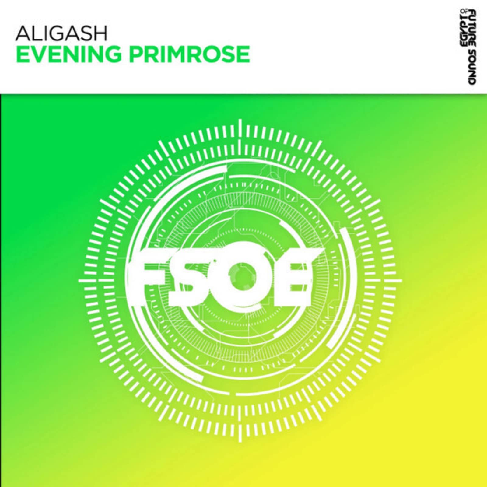 ALIGASH — Evening Primrose (Extended Mix)