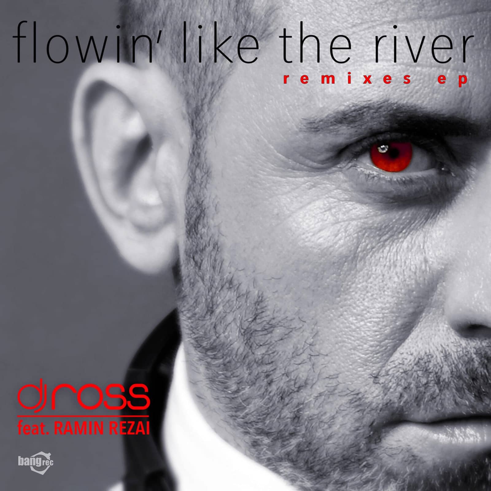 Dj Ross feat. Ramin Rezai — Flowin Like The River (Leandro Da Silva Remix)