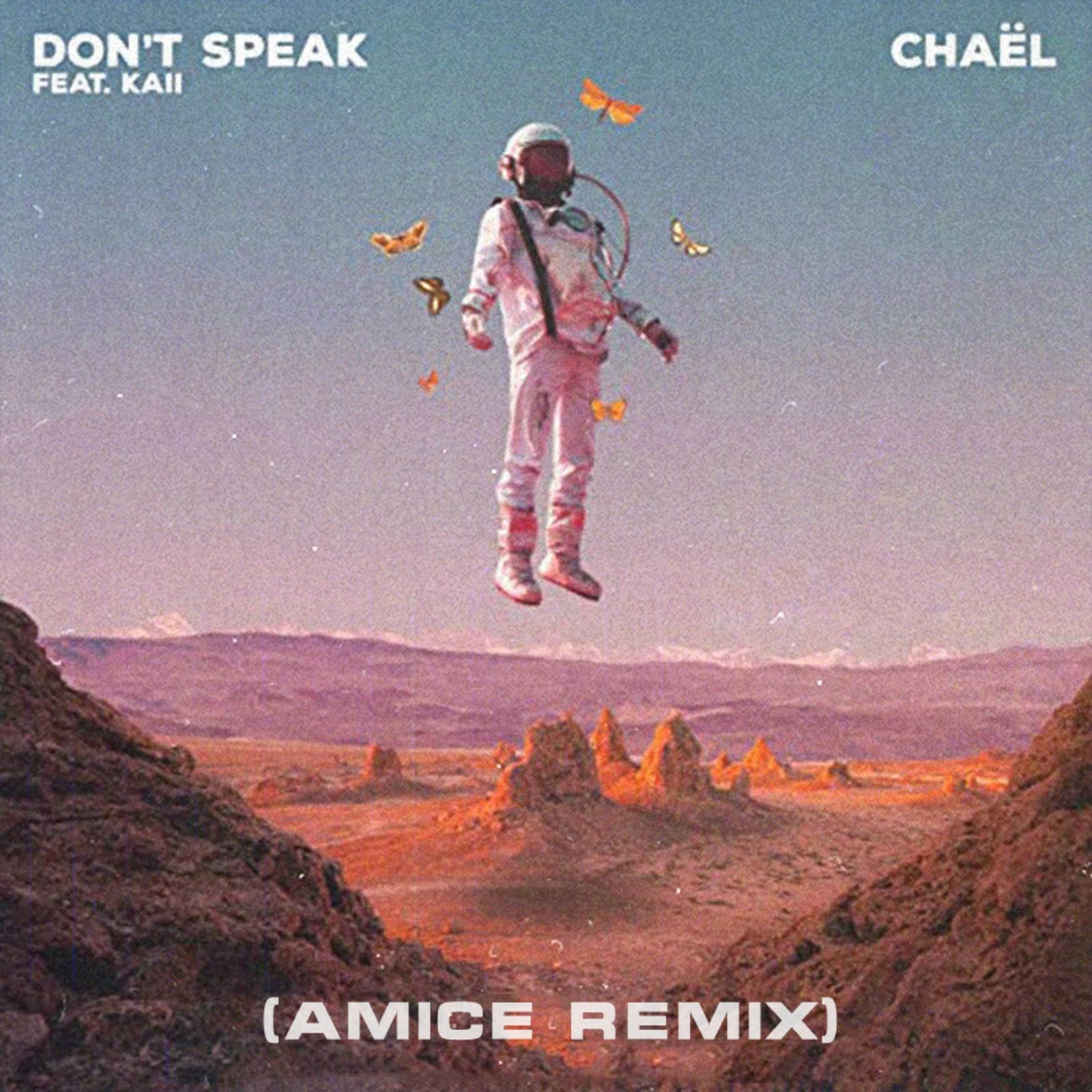 Chaёl, kaii, Amice — Don't Speak