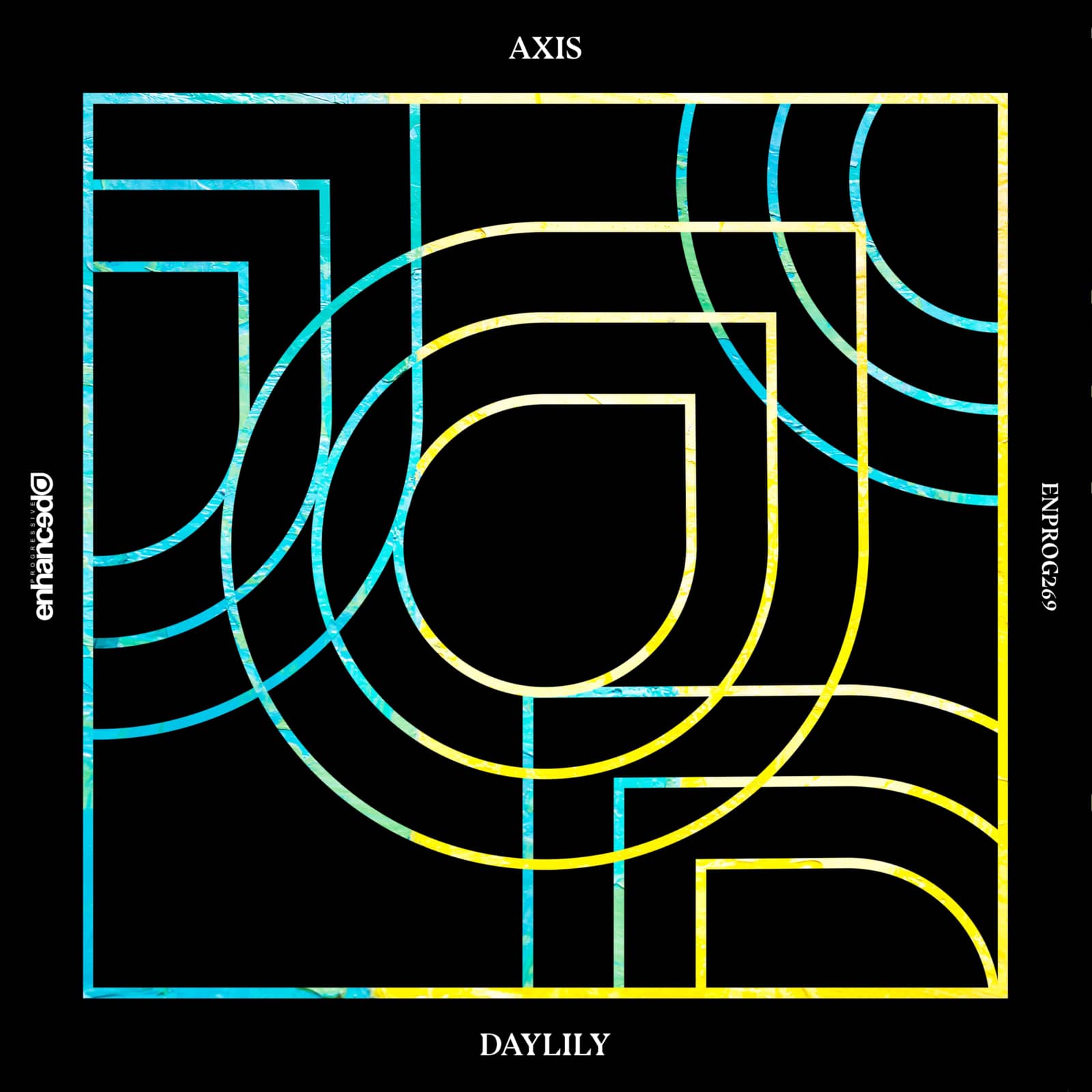 Axis — Daylily