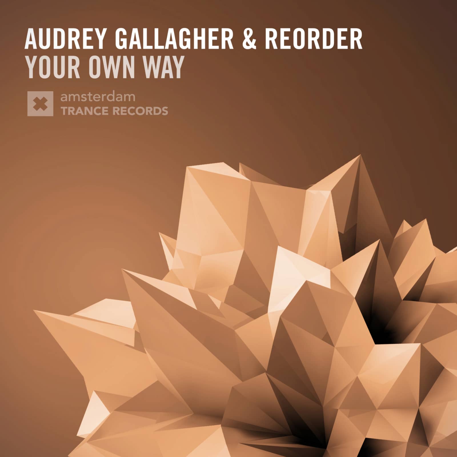 Audrey Gallagher & ReOrder — Your Own Way