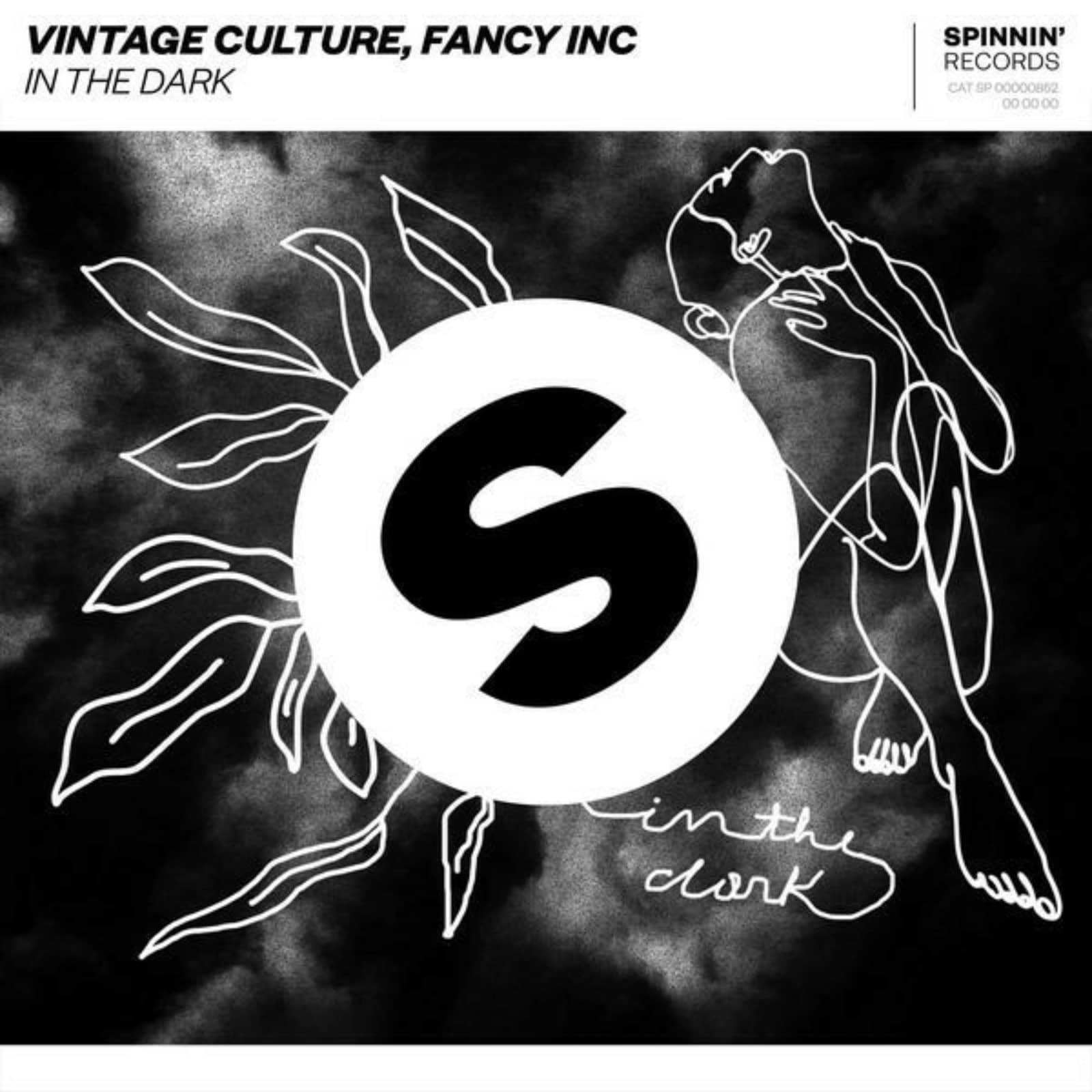 Vintage Culture , Fancy Inc — In The Dark
