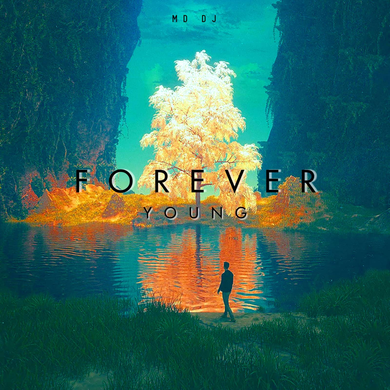 MD DJ — Forever Young (Original Mix)