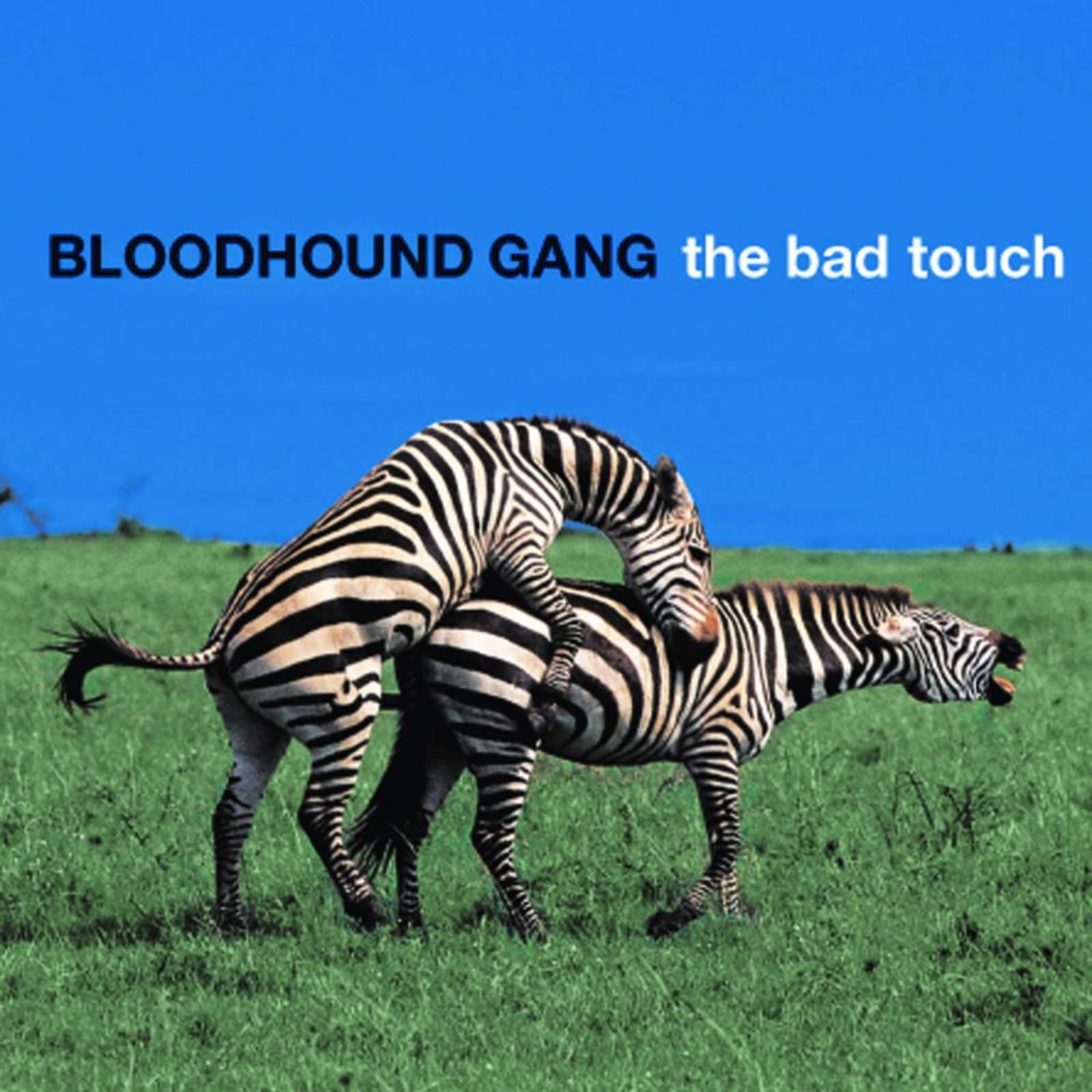 Bloodhound Gang — The Bad Touch