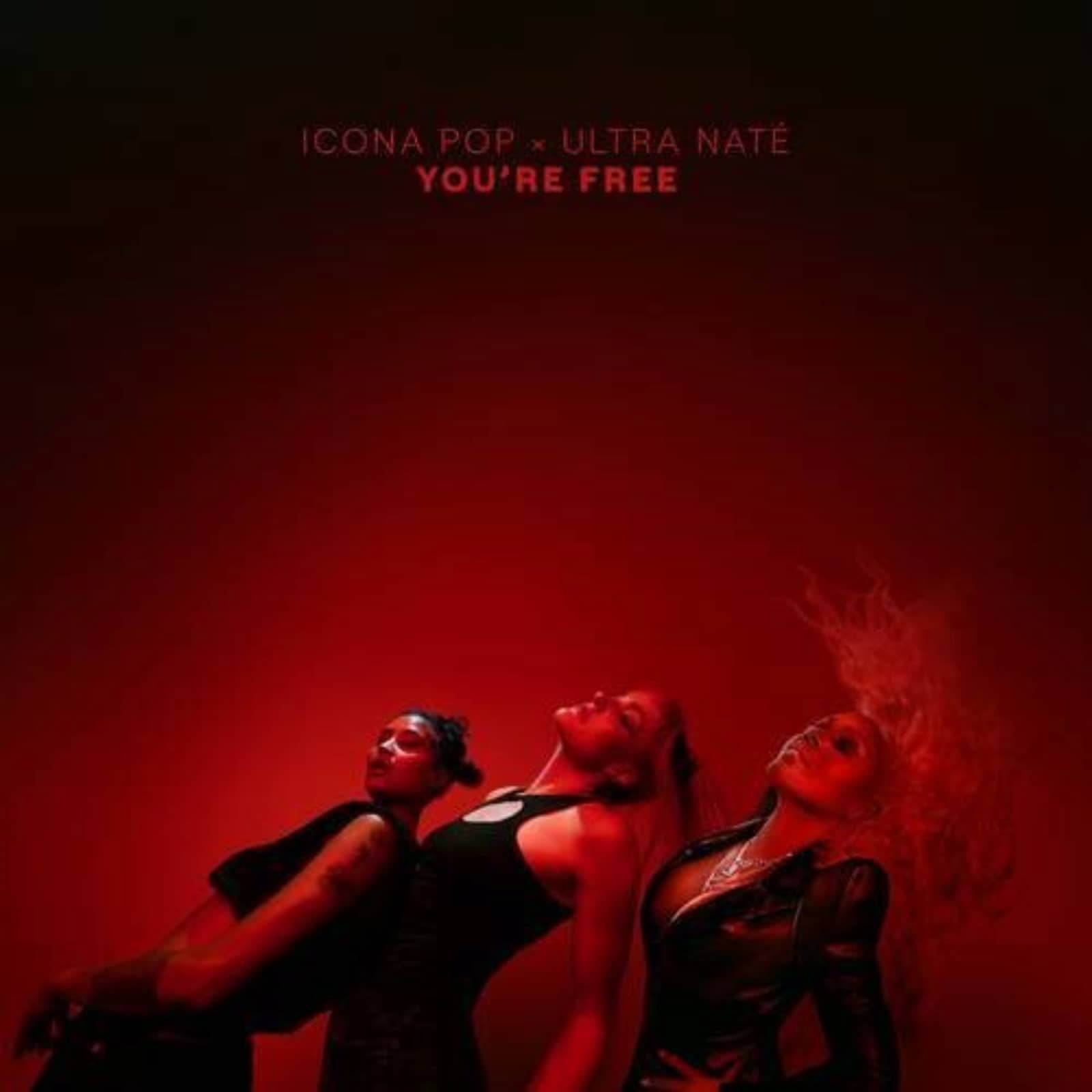Ultra Nate, Icona Pop — You're Free (Extended Mix)