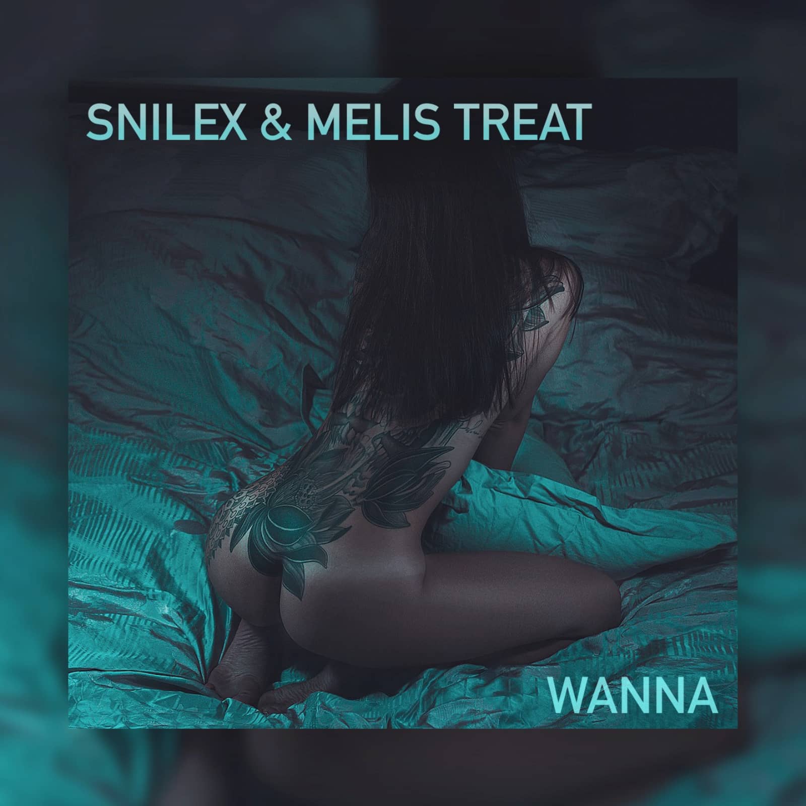 Snilex & Melis Treat — Wanna