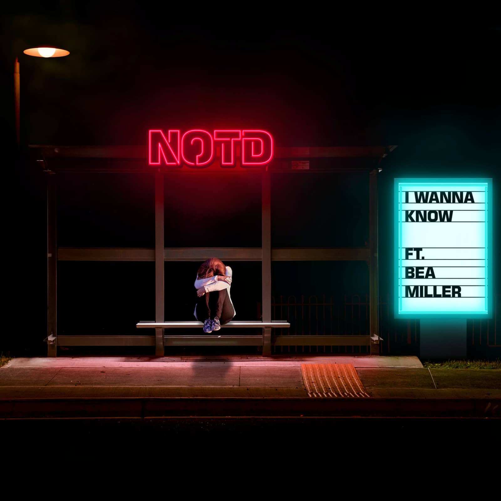 Notd Feat. Bea Miller — I Wanna Know (Syn Cole Remix)