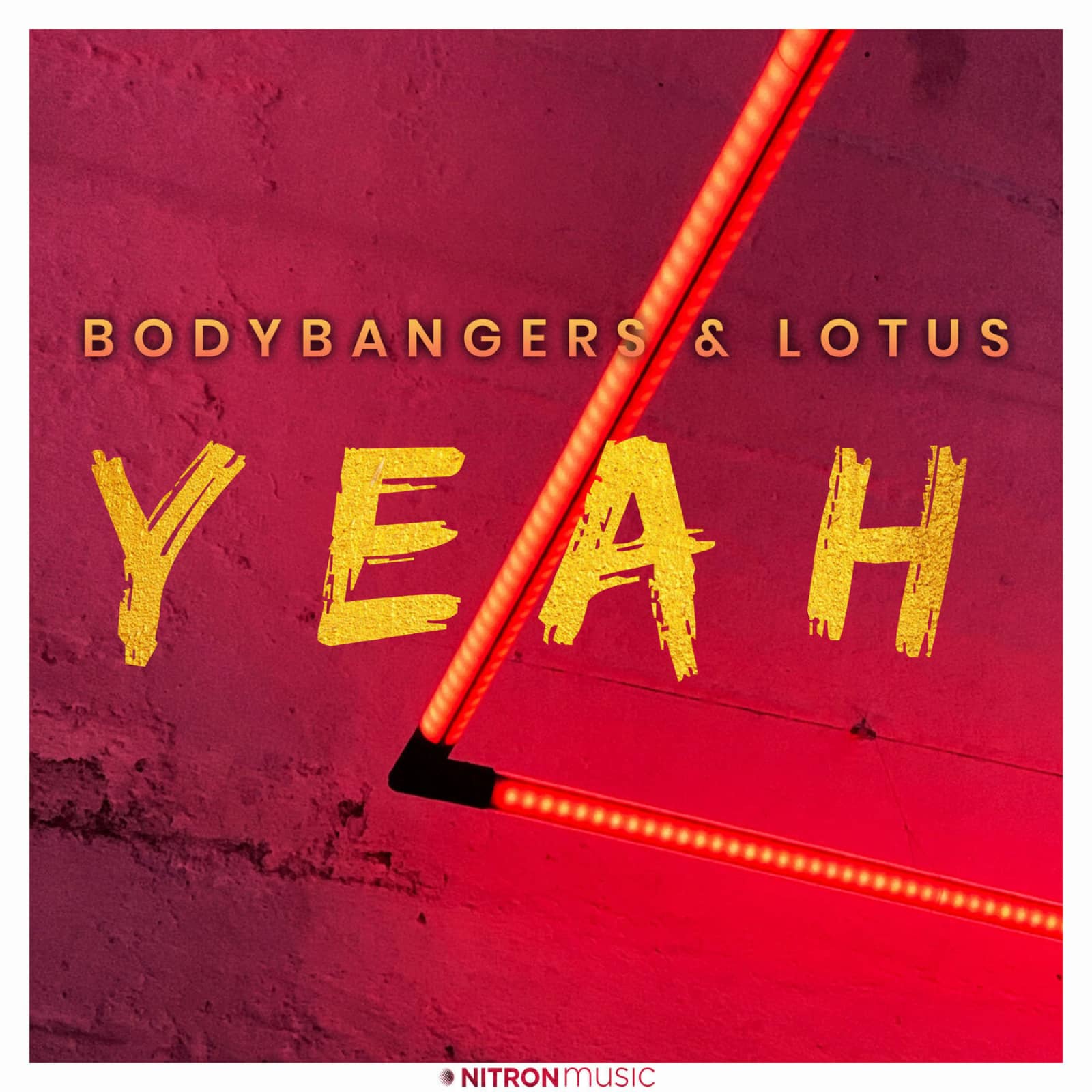 BODYBANGERS & Lotus — Yeah