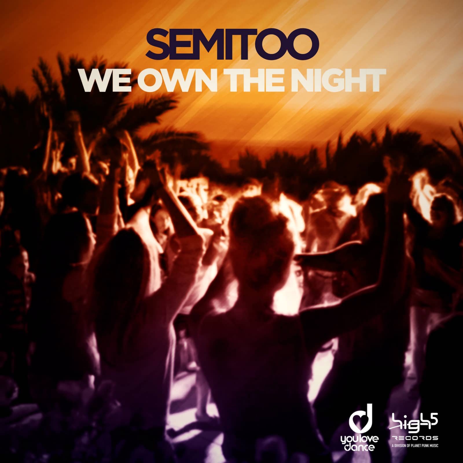 Semitoo — We Own The Night (Raindropz! Remix)