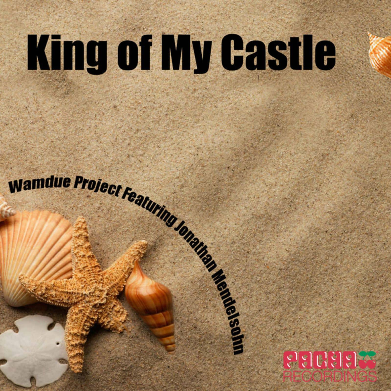 Wamdue Project — King of My Castle (Roy Malone's King radio edit)