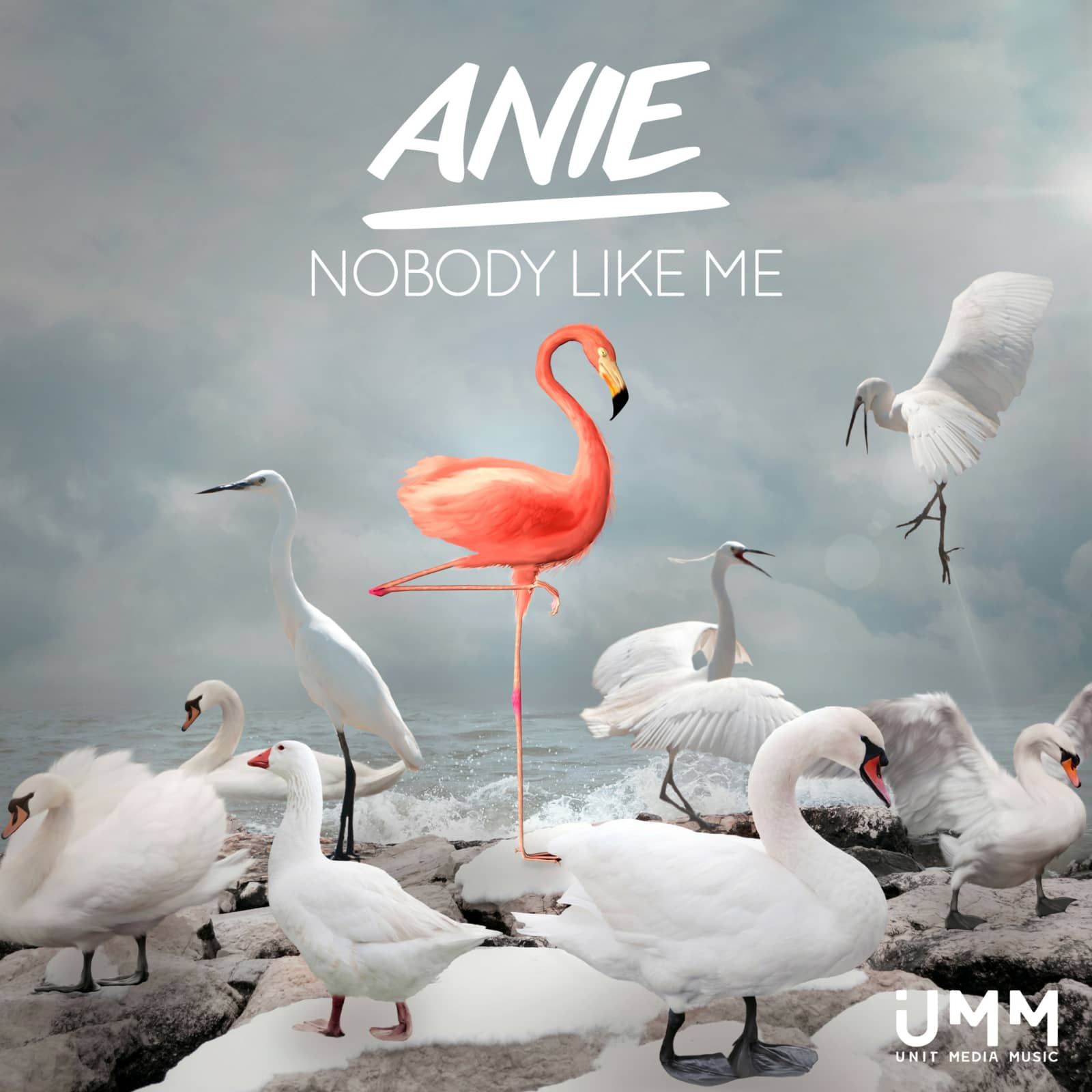 Anie — Nobody like Me