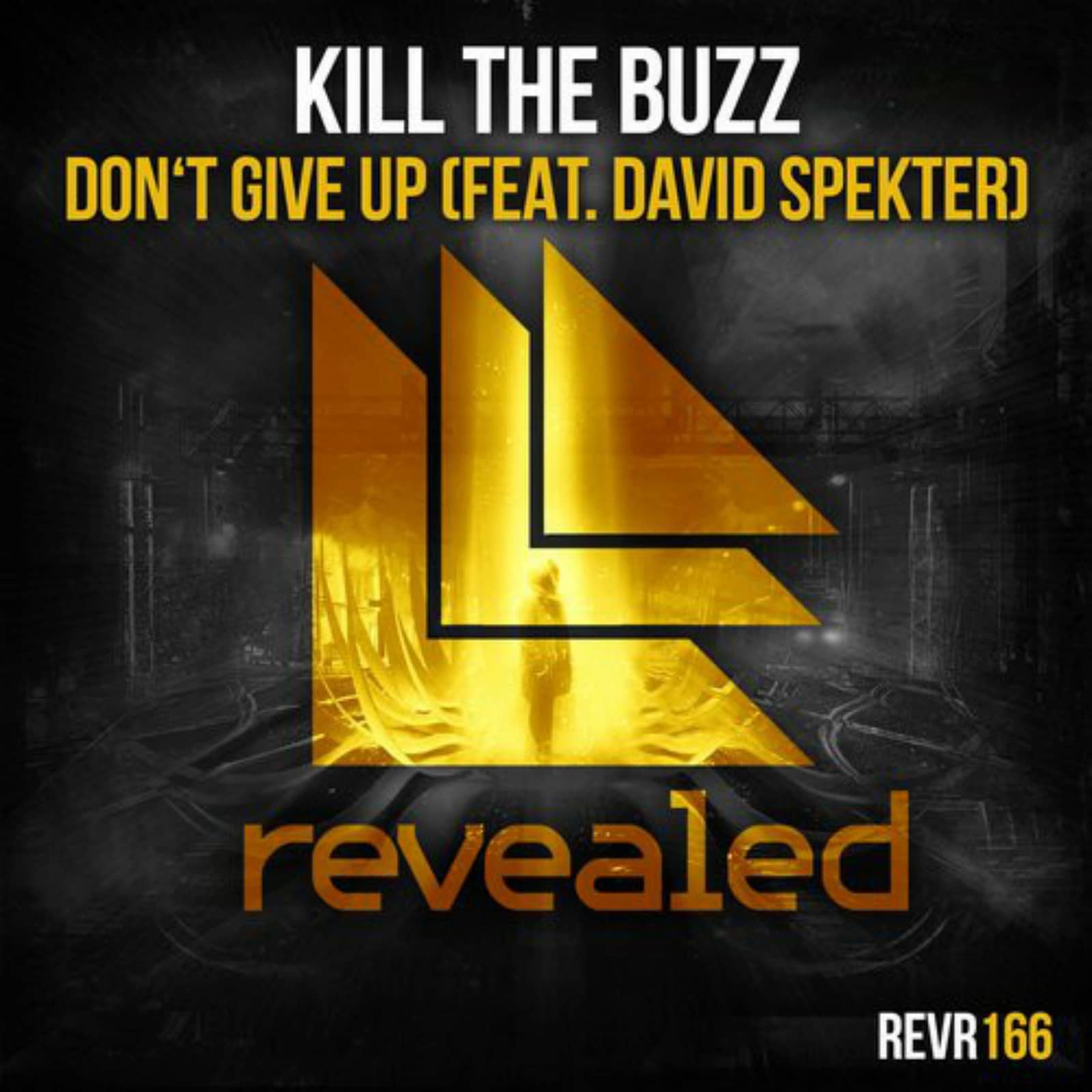 Kill The Buzz Feat. David Spekter — Don't Give Up