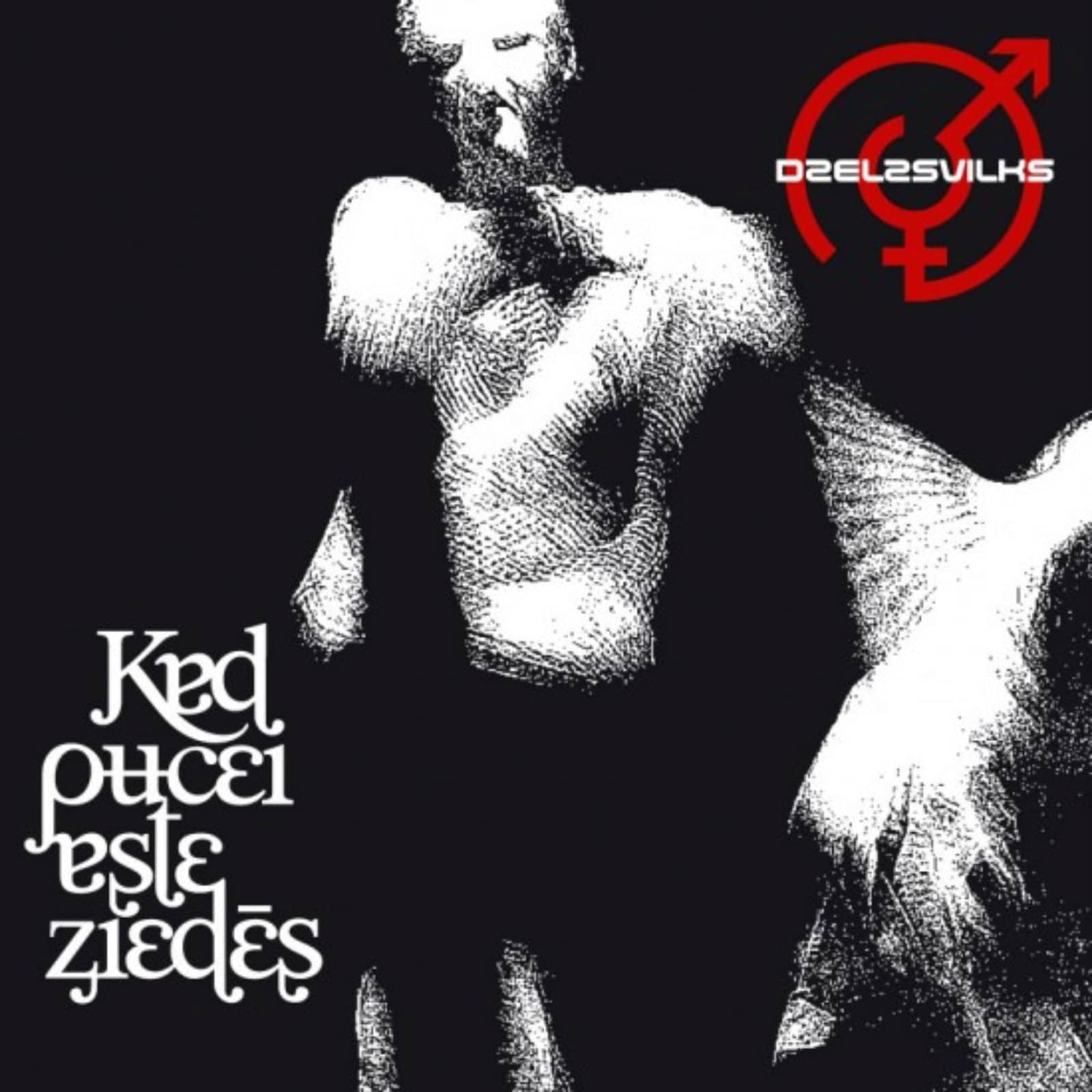 Dzelzs vilks — 2004. gada pavasaris