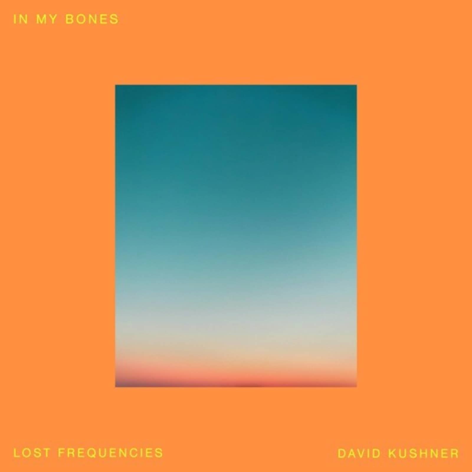 Lost Frequencies & David Kushner — In My Bones (Extended Mix)