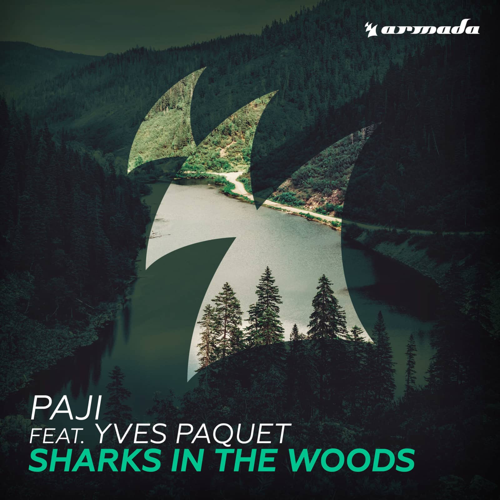 Paji feat. Yves Paquet — Sharks in the Woods (acoustic version)