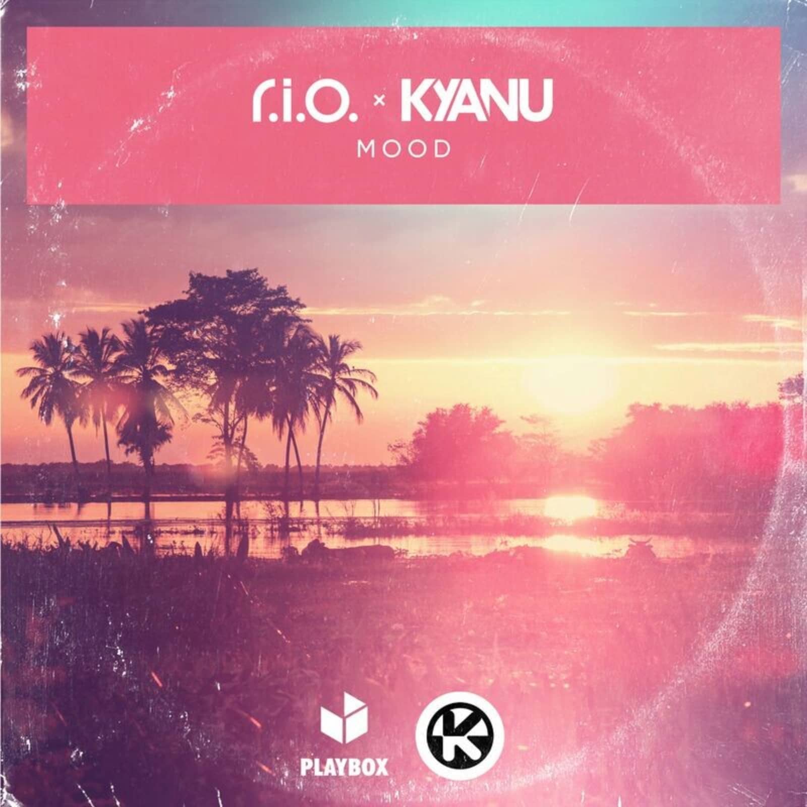 R.I.O. & KYANU — Mood