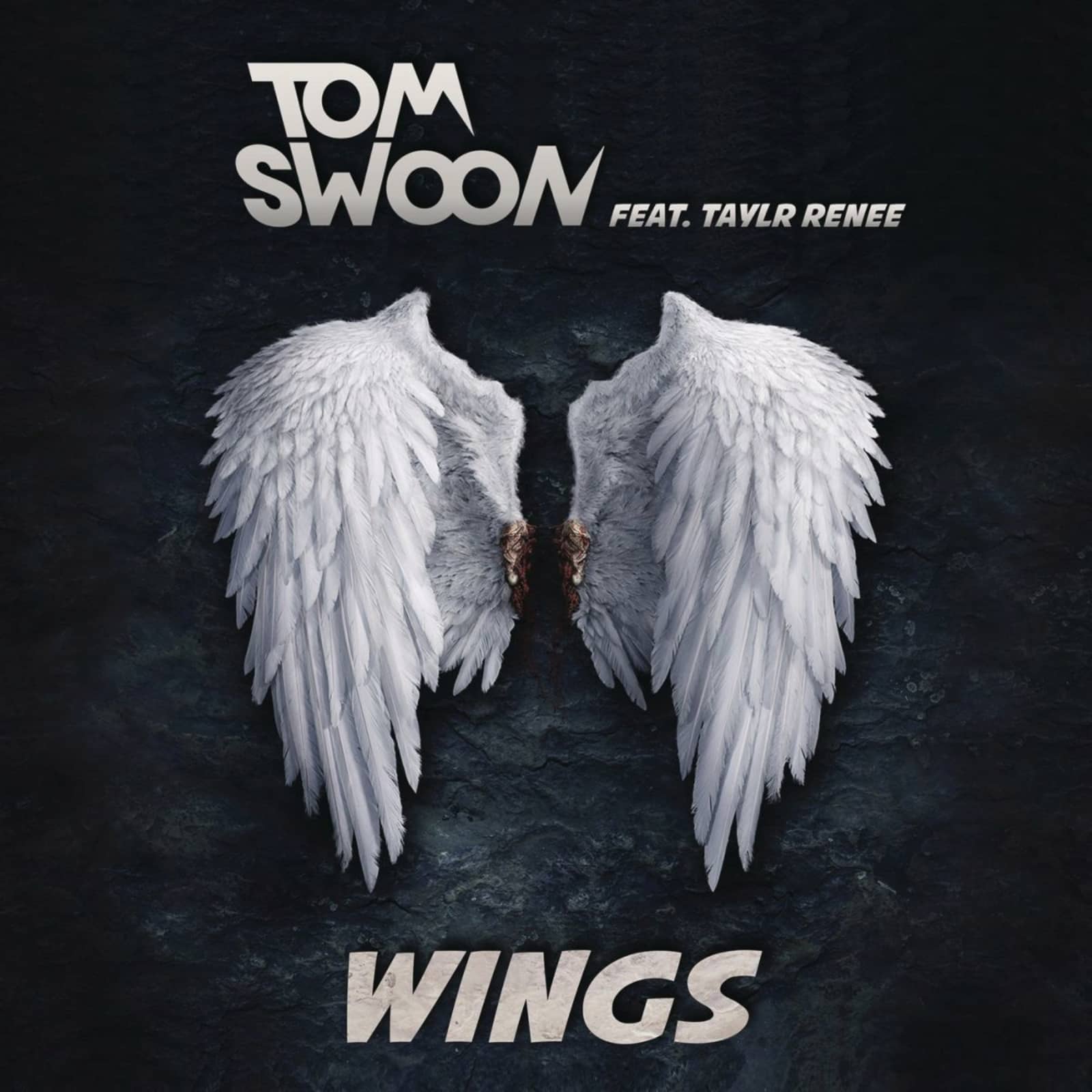 Tom Swoon feat. Taylr Renee — Wings
