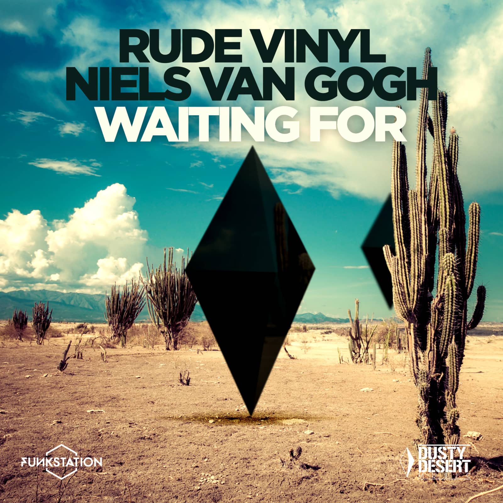 Rude Vinyl and Niels Van Gogh — Waiting For
