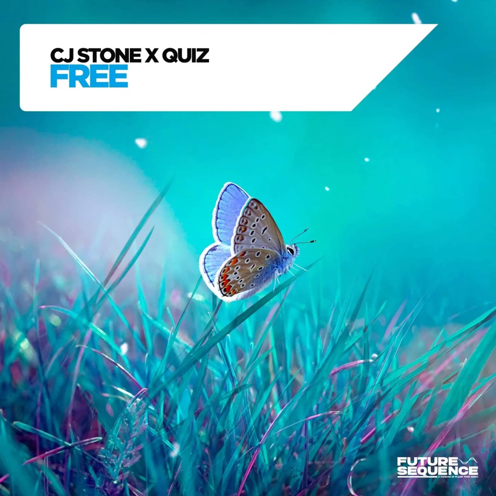 CJ Stone & Quiz — Free (Extended Mix)