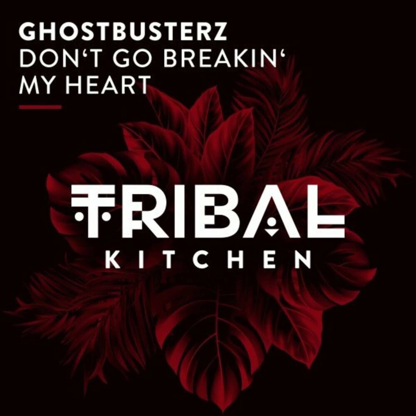 Ghostbusterz — Don't Go Breakin' My Heart