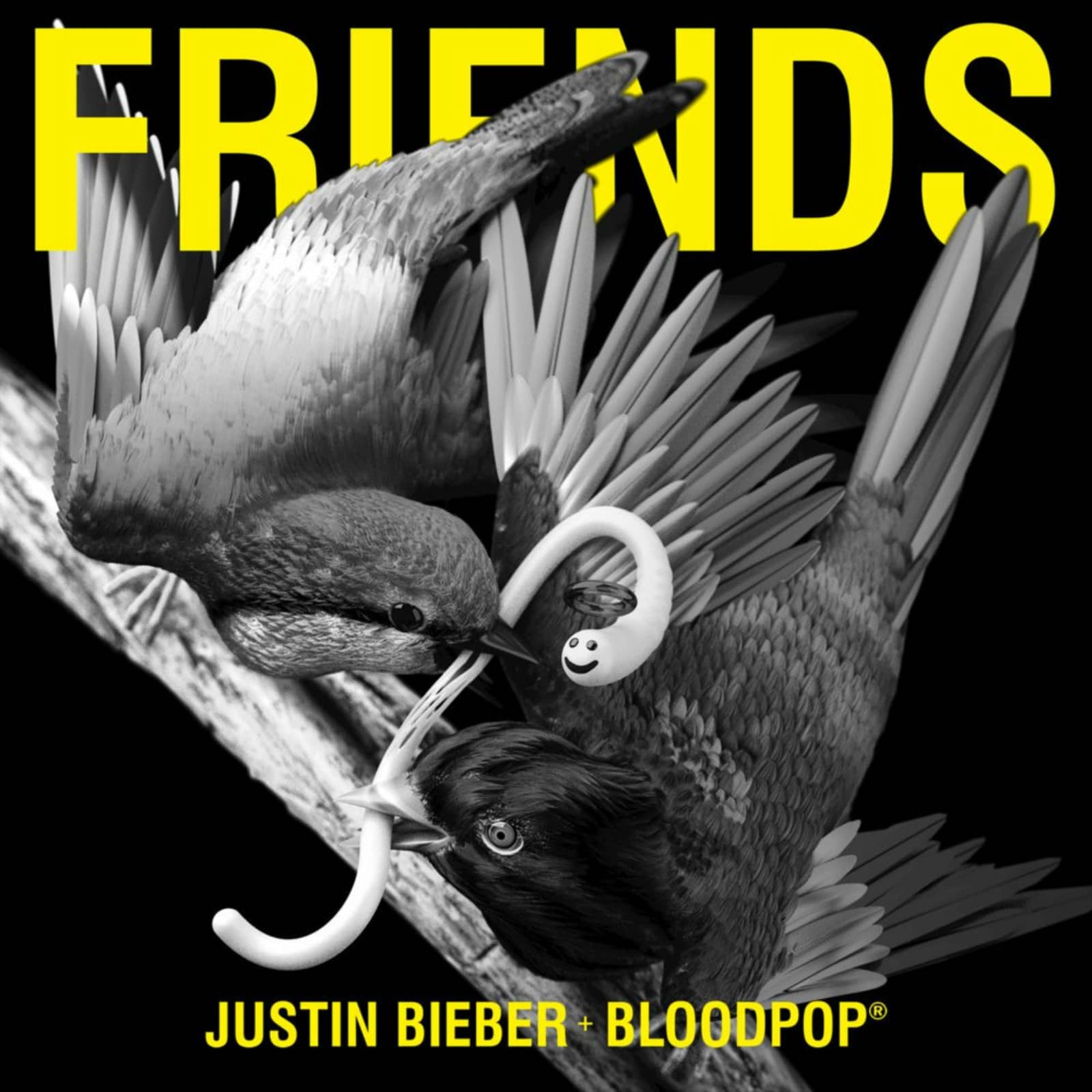Justin Bieber & BloodPop® — Friends