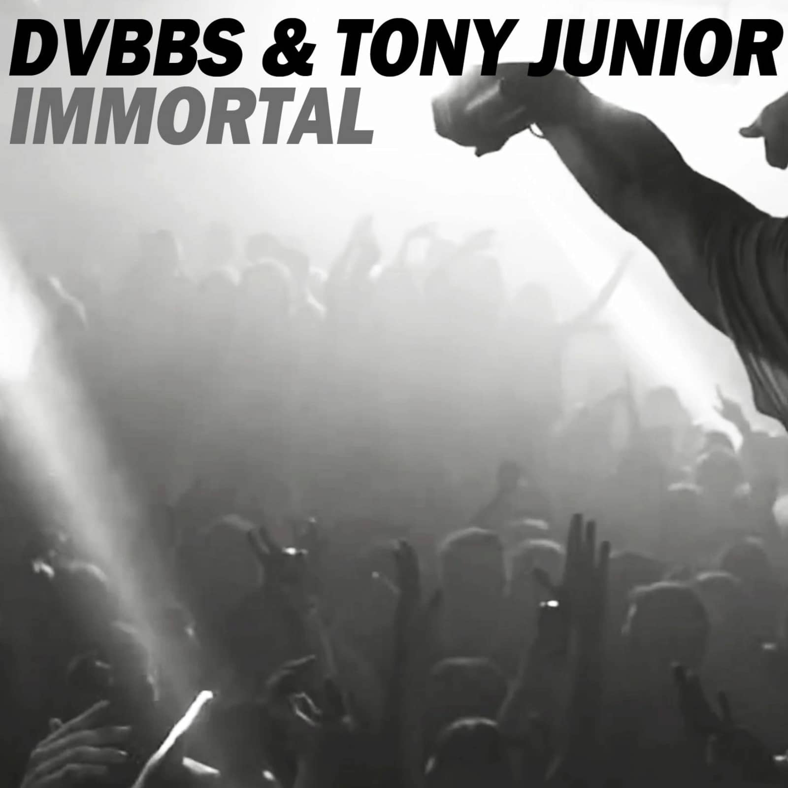 DVBBS Immortal. Immortal (Original Mix). Песня Immortals. DVBBS 2023.