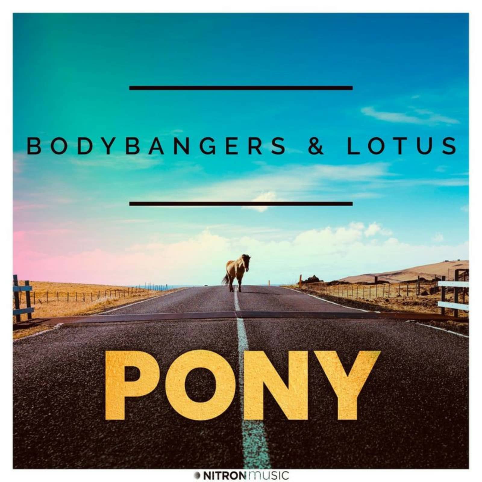 Bodybangers & Lotus — Pony